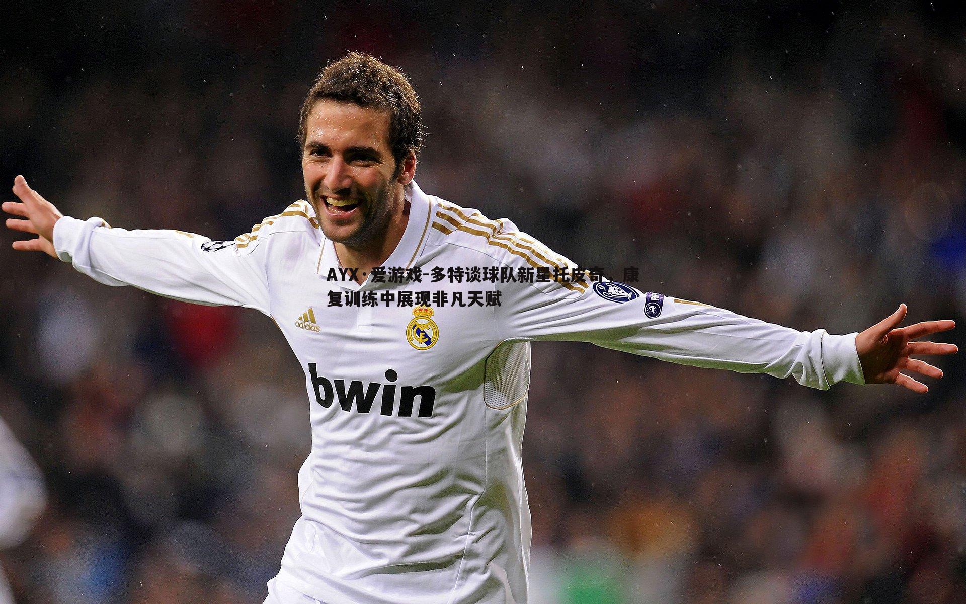 多特谈球队新星托皮奇,康复训练中展现非凡天赋