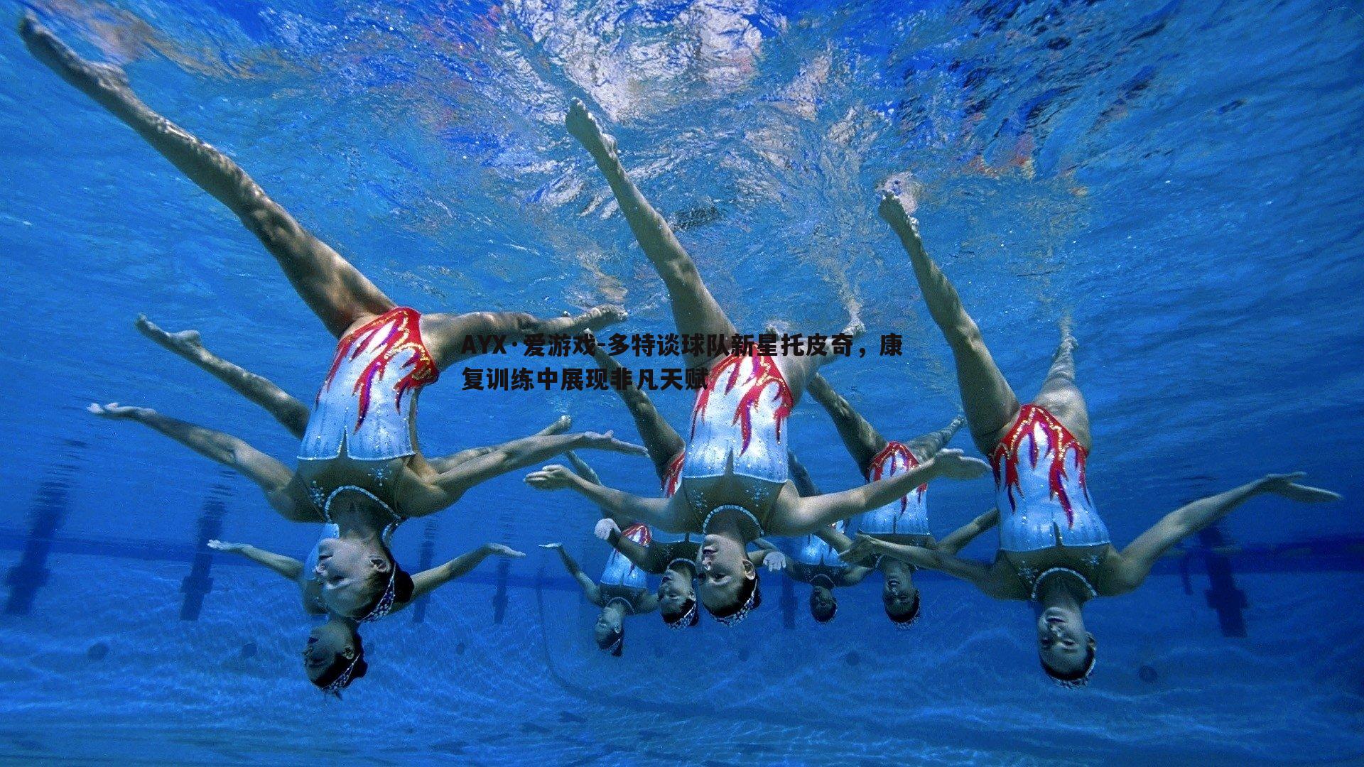 多特谈球队新星托皮奇,康复训练中展现非凡天赋